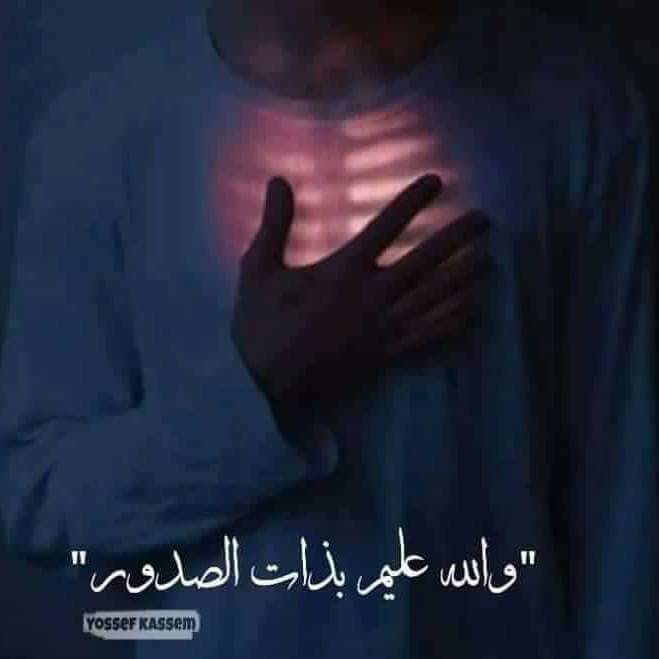 ZeinabMMM2's tweet photo. #NewProfilePic https://t.co/wpELUhOmf9