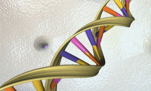 wef's tweet photo. 22q11.2: The syndrome you've never even heard of https://t.co/FeiqUaaEhG #health https://t.co/Qqp30wCMIO
