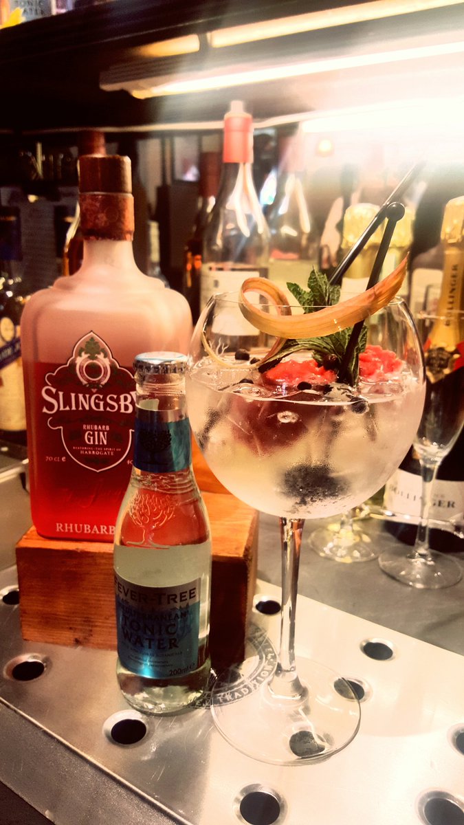 symposiumidle's tweet photo. Rhubarb gin and tonic served with fresh fruit &amp; mint. Just one of the 22 gins we have on offer #gin @slingsbysocial @FeverTreeMixers https://t.co/fvOoarMQSQ
