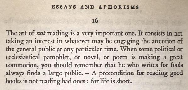 vortice (@vorticelibrary) on Twitter photo 