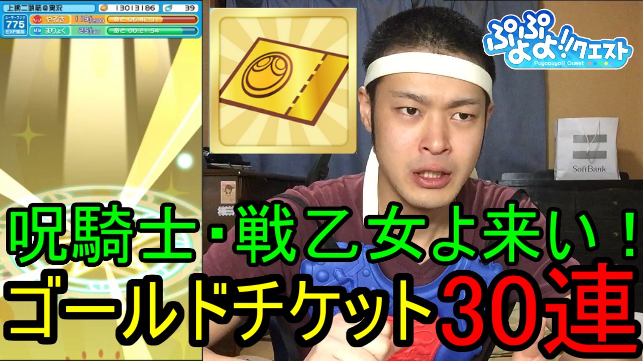 上腕二頭筋 ファスナーの番人 ぷよクエ 呪騎士 戦乙女狙って ゴールドチケット30連 プレミアムチケット3連ガチャ 少しずつ貯めたチケット達を解放します ぷよクエ 呪騎士 ゴールドチケット プレミアムチケット T Co Kkg0mhmrsv