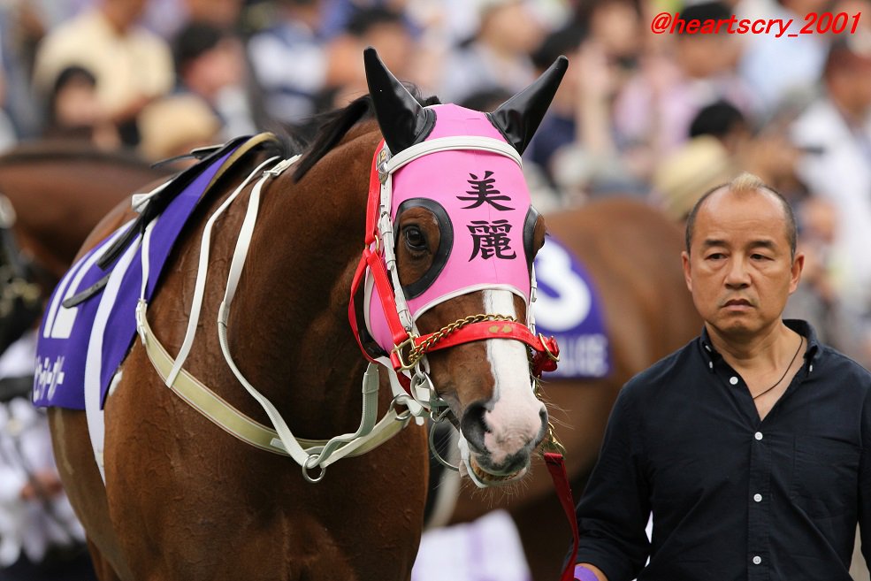 ブロコレさん 香港から参戦のビューティーオンリー 美麗大師 とコンテントメント 詠彩繽紛 ビューティーオンリーは自身の名前が入った 美麗 メンコを着けての登場 コンテントメントは昨年に続きホライゾネットを着用 日本に来てくれて嬉しかっ ブロコレさん 香港から参戦のビューティーオンリー 美麗大師 とコンテントメント 詠彩繽紛 ビューティーオンリーは自身の名前が入った 美麗 メンコを着けての登場 コンテントメントは昨年に続きホライゾネットを着用 日本に来てくれて嬉しかっ