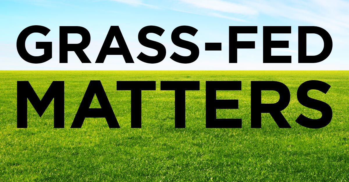 Tallowderm's tweet photo. #Grassfed is of paramount importance! 👈🏻

When 🐄 eat grain, a crucial healing ingredient (CLA) is diminished. 👎🏻

#WhyGrassFed #Tallowderm https://t.co/jkJFFCgail