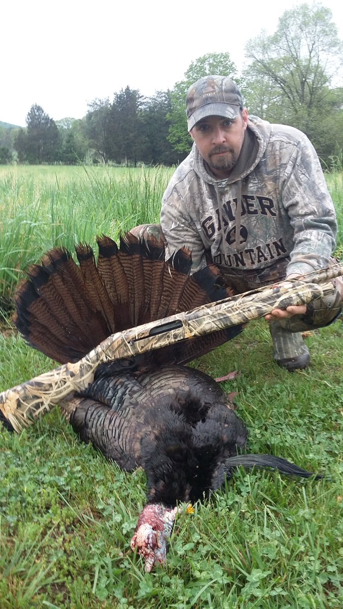 MoonshinerMo's tweet photo. That boy can kill em too. #springgobbler  
9 3/4, 10 1/2, 11 1/2 inch beards. All 3 over 20lbs #vamountaintoms https://t.co/reJreL9ZCK
