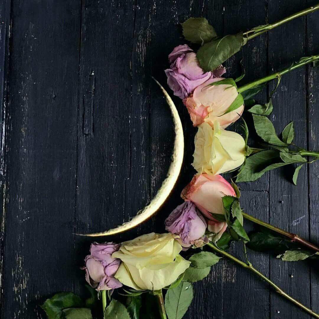 Salarea88's tweet photo. مساء الورد ..
#رمضان_يجمعنا https://t.co/5j2ShZfUfQ