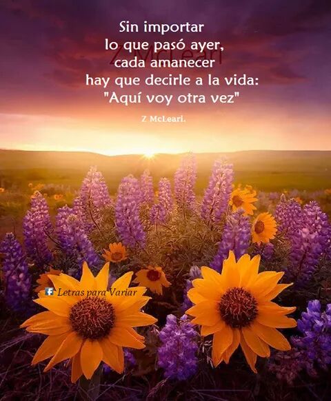 stelita60's tweet photo. @MichelPesquera  https://t.co/WUWKj0KuXT