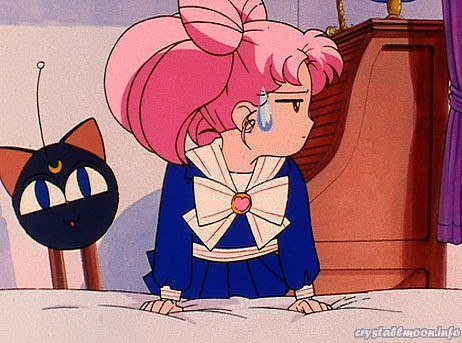 Small_Lady_Chan's tweet photo. @UsagiTsukiNoRus Не ела? А кто тогда? Скажи ещё, что это Луна пришла и всё съела. https://t.co/qbCdHCtzD7