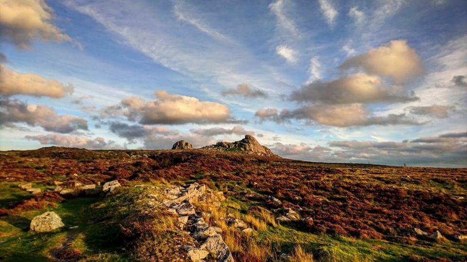 Devon Days #LoveDevon tweet media