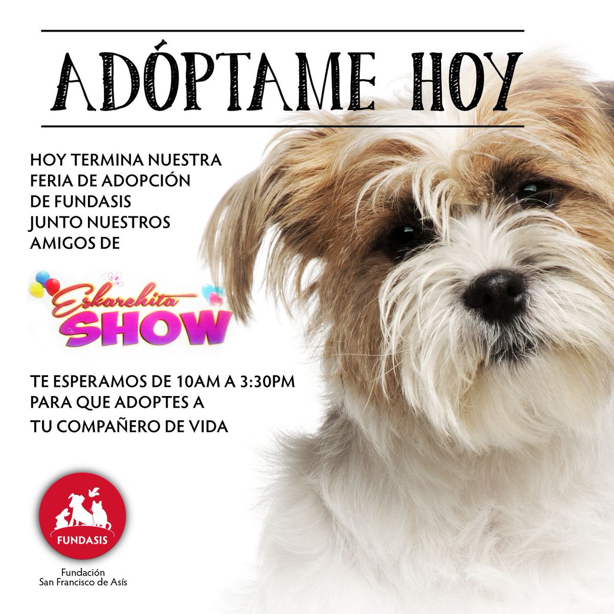 fundasispma's tweet photo. Si ayer no pudiste venir, puedes hacerlo hoy. Te esperamos a un costado de los est. de El Machetazo de San Miguelito #AdoptaNoCOmpres https://t.co/hkQyPRAF6j