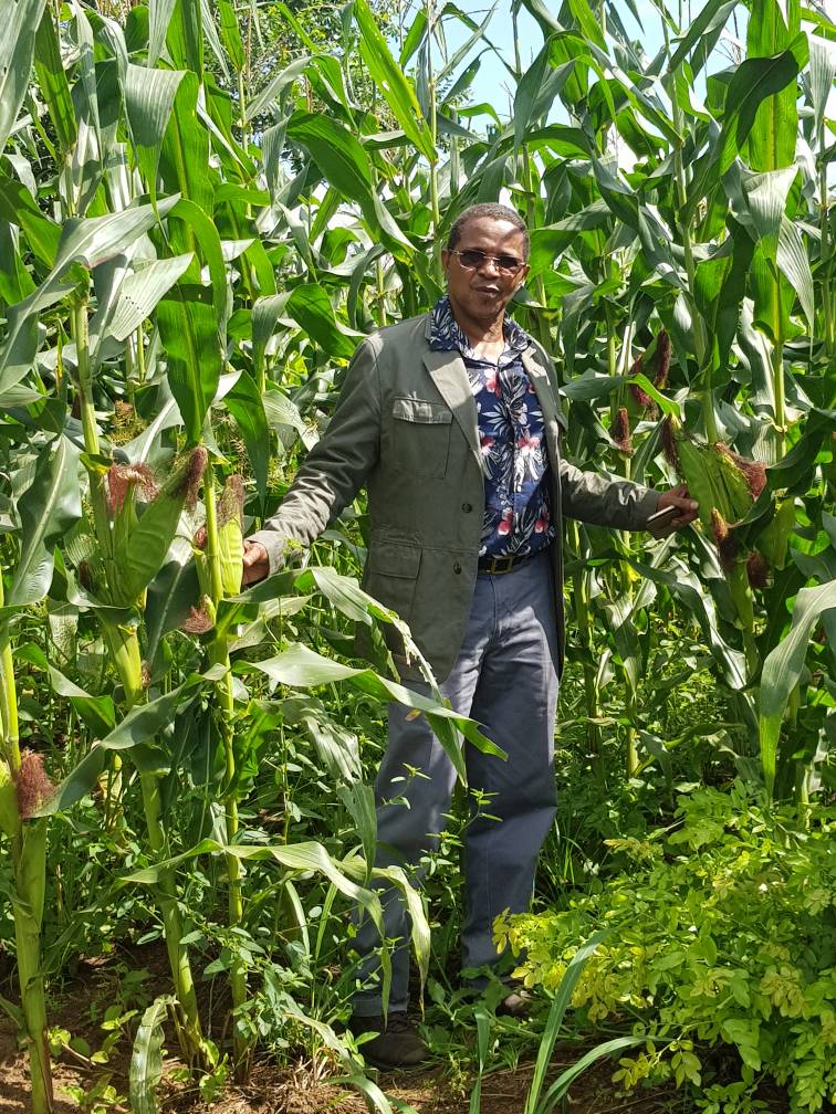 jmkikwete's tweet photo. There is life after retirement with more time for things I had less time for, like enjoying quality time with my family, my cattle &amp; farm. https://t.co/5bqa2Bl1En