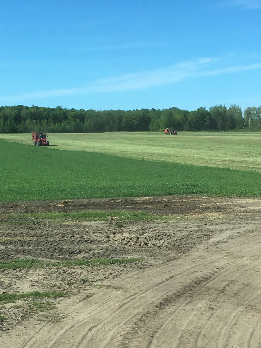 vormview02's tweet photo. 1 st cut done #MFpower. Was 1pm when tires where on just before the rain👍🐄 https://t.co/EouQd4xsyd