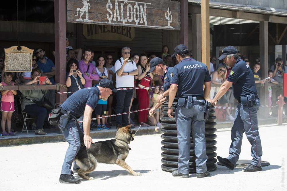 poliziadistato's tweet photo. A #cinecittaworld anche la Polizia per manifestazione #vivalitalia con #scientifica e #cinofili prossimi appuntamenti 9-10-11 giugno https://t.co/g9HNF5cCuE