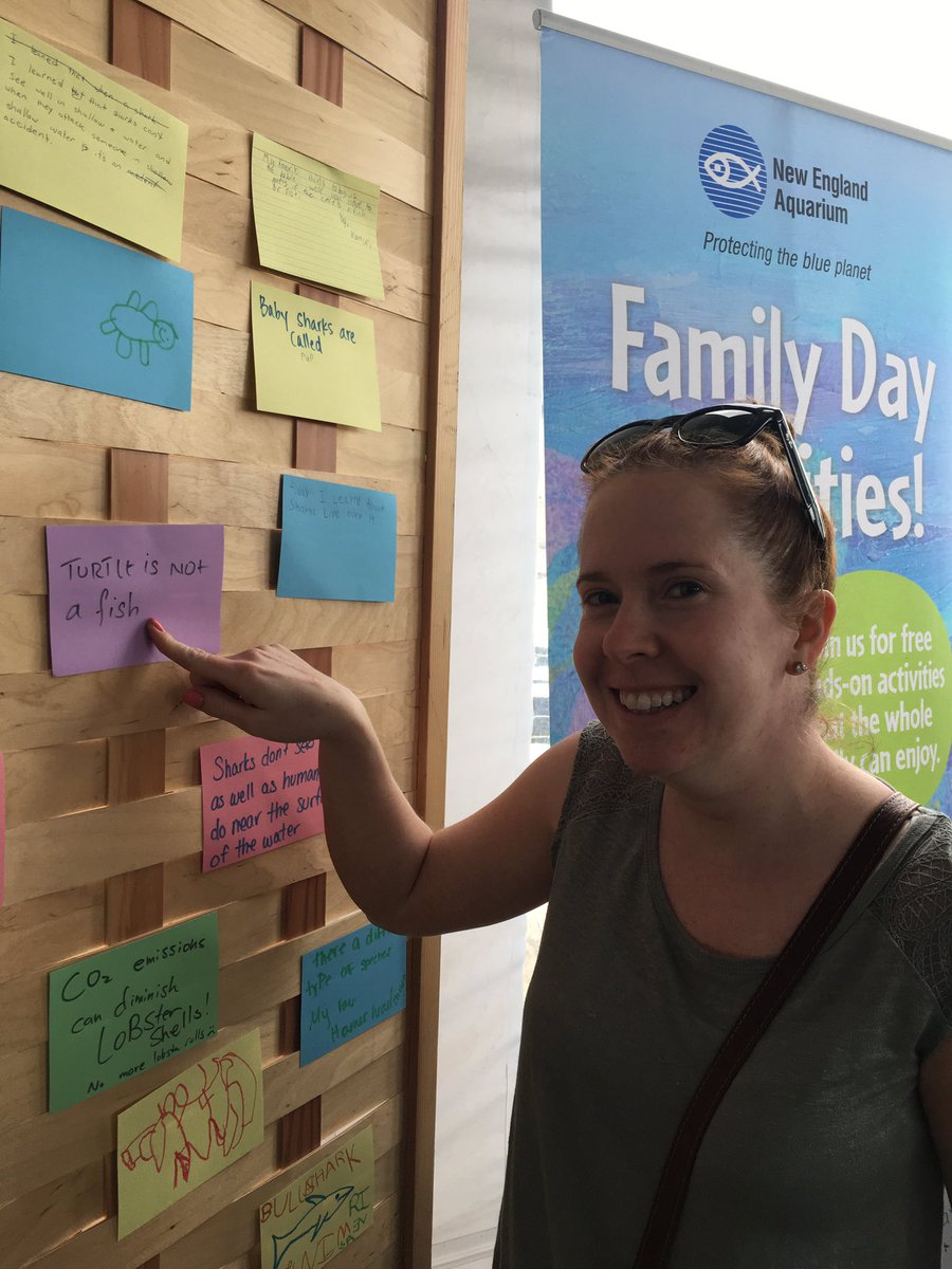 amalloy19's tweet photo. #OceansDayNEAQ #a turtle is not a fish" https://t.co/lLHHiboX5f