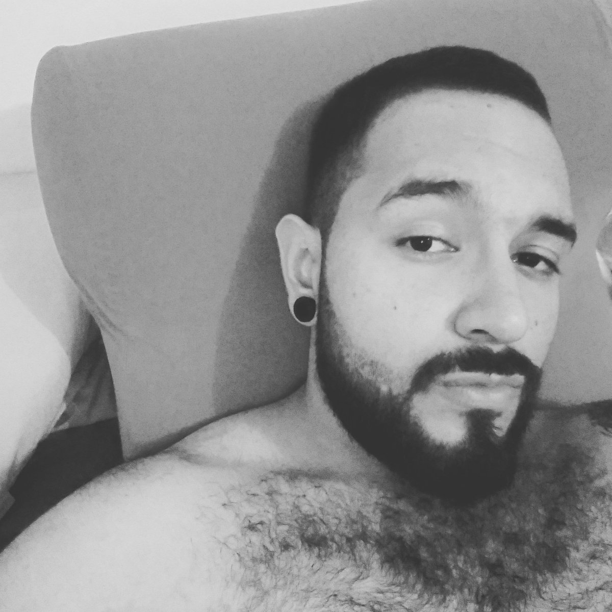 El Esteban tweet media