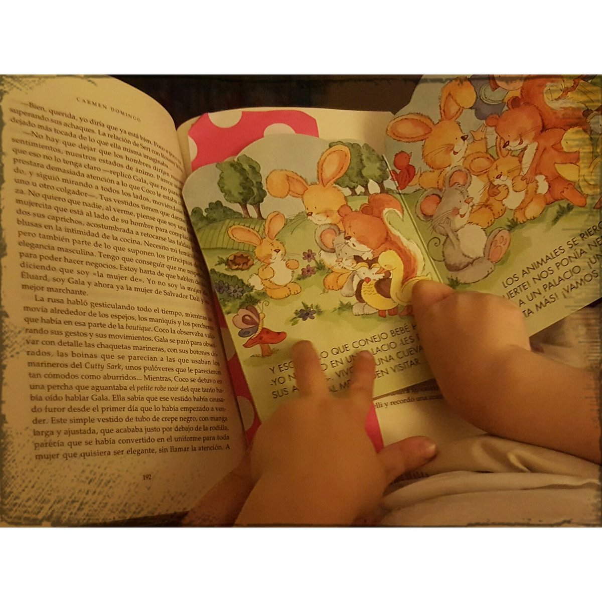 GlemabPR's tweet photo. #domingo #siesta y a #leer a dos libros y cuatro ojos... y asi vivimos un #MomentoCompartido https://t.co/U8khErbVZU