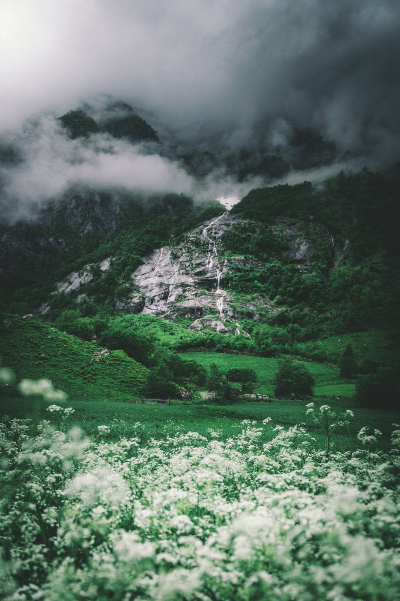 LukasLitt's tweet photo. Mein Tag in 4 Bildern! ☁💚
#Norwegen

Folgt mir gern auf Instagram! 😊
https://t.co/J6qOPxMpXx https://t.co/VcxfjpmI5q