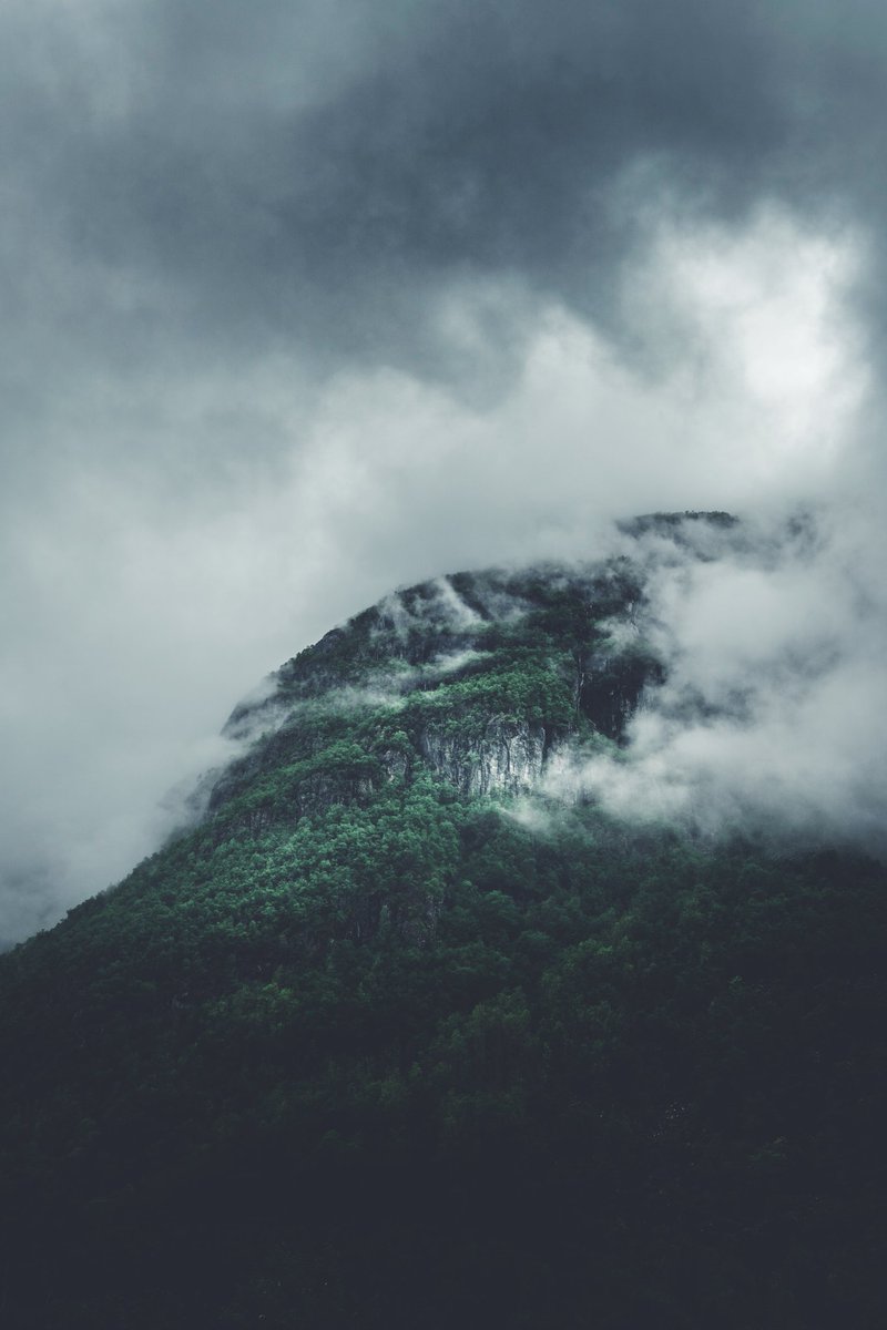 LukasLitt's tweet photo. Mein Tag in 4 Bildern! ☁💚
#Norwegen

Folgt mir gern auf Instagram! 😊
https://t.co/J6qOPxMpXx https://t.co/VcxfjpmI5q