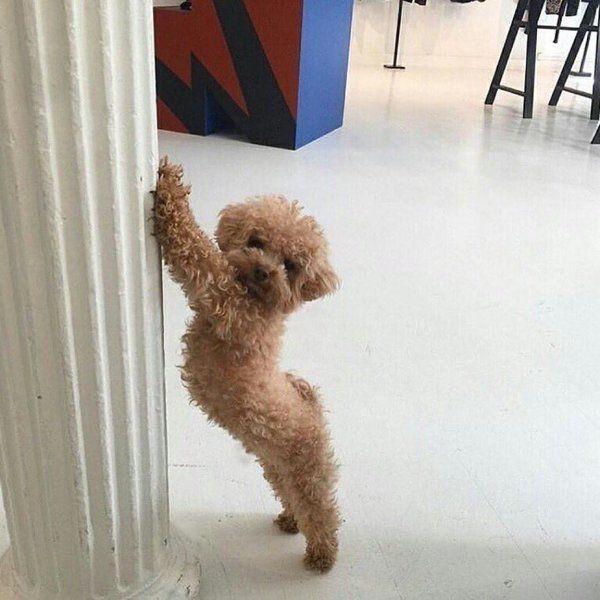 tbhplzdont's tweet photo. When you trying to get bae to notice how thick you getting. https://t.co/NXxAuEydpk