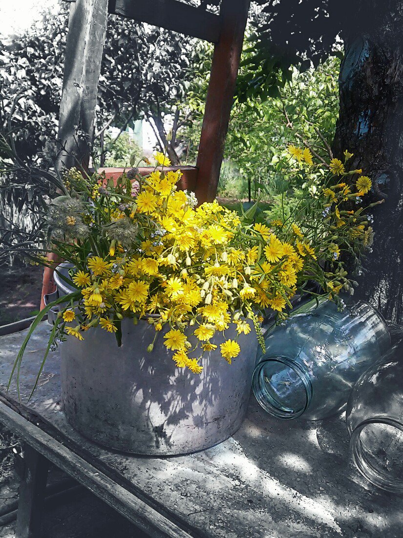 MIgorIv's tweet image. 