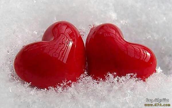 إن المحبين قوم بين أعينهم 
وسمٌ من الحُب لا يخفى على أحدِ
#قروب_انسام_للدعم
#قروب_حنان_للدعم
#مسكنه_للرتويت