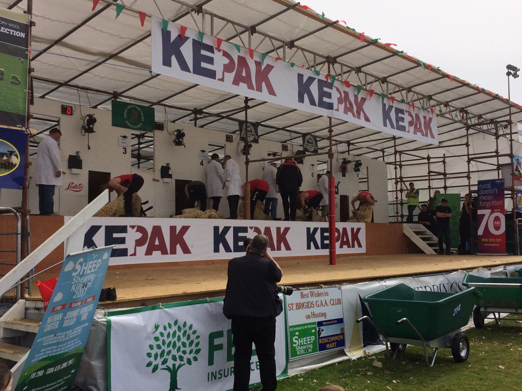 ICSAIreland's tweet photo. Great action today @ShearingKiltoom @StBrigidsRos Well done to all! #ICSAIreland #sheep https://t.co/ZrcmO7LciS