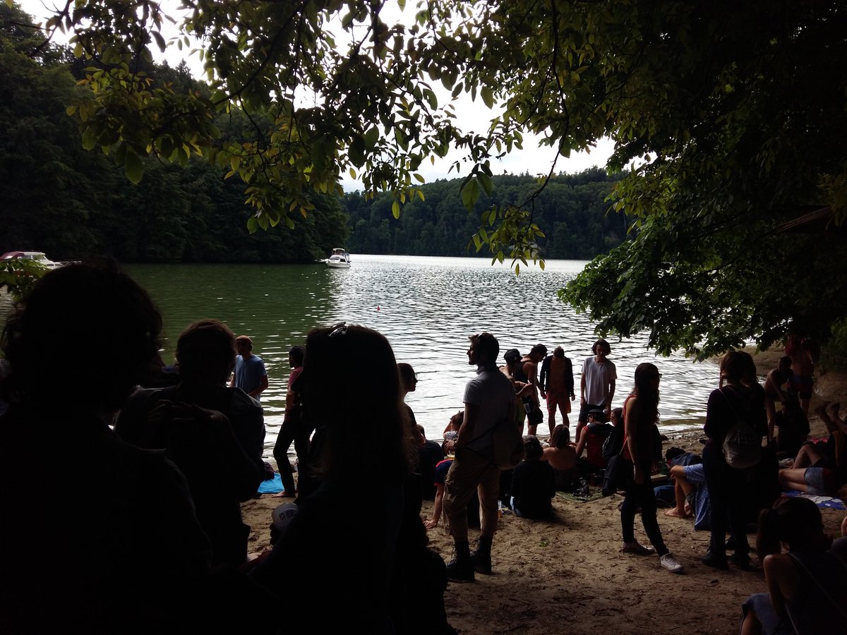 bewegungsmelder BE tweet media