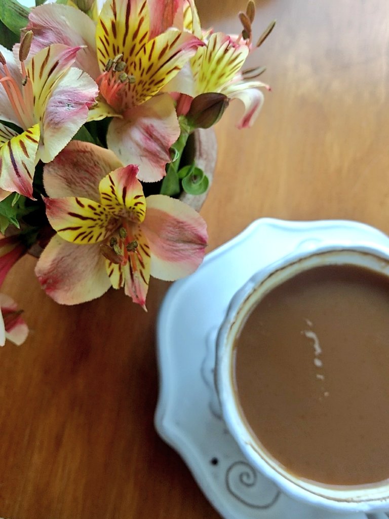 ¡Buenos días por la mañana! ☕️ Estamos en #Puscua, una propuesta joven en #Guanajuato