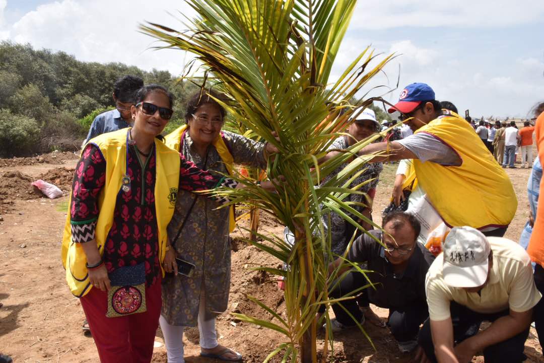 AfrozShah1's tweet photo. 500 trees on the beach .Thank you @LavekarBharati @AmeetSatam @atulpatne @PoojaB1972 @YESBANK @SHMShipcare @sanjaynirupam @ErikSolheim . https://t.co/2XEL6YB2WI