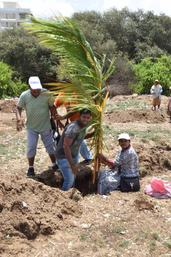 AfrozShah1's tweet photo. 500 trees on the beach .Thank you @LavekarBharati @AmeetSatam @atulpatne @PoojaB1972 @YESBANK @SHMShipcare @sanjaynirupam @ErikSolheim . https://t.co/2XEL6YB2WI