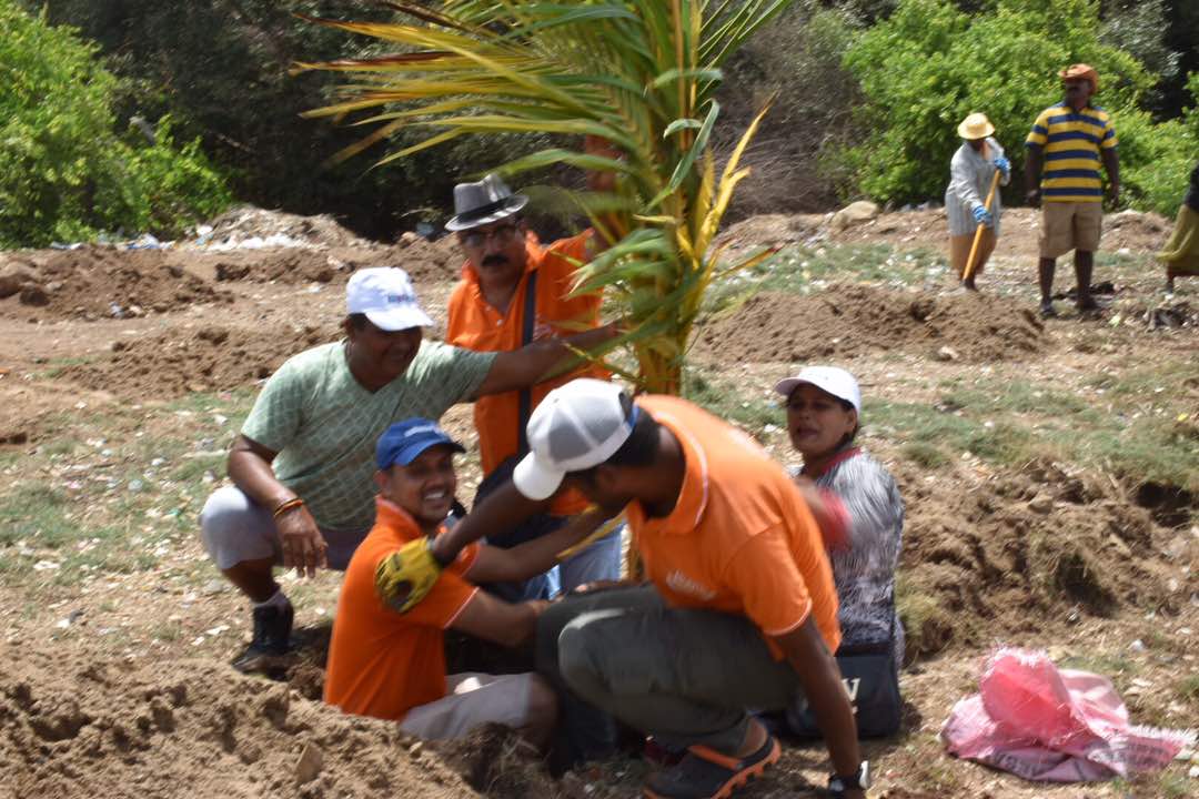 AfrozShah1's tweet photo. 500 trees on the beach .Thank you @LavekarBharati @AmeetSatam @atulpatne @PoojaB1972 @YESBANK @SHMShipcare @sanjaynirupam @ErikSolheim . https://t.co/2XEL6YB2WI