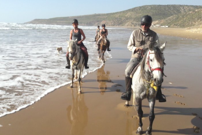 ZouinaCheval's tweet photo. #randonneeequestre de 6 jours au #maroc dans la région d'#Essaouira avec #zouinacheval : https://t.co/L0oygvtlrS https://t.co/HpkmDChiRu