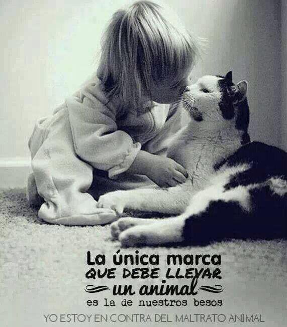 Marta (@marthahaifa) on Twitter photo 