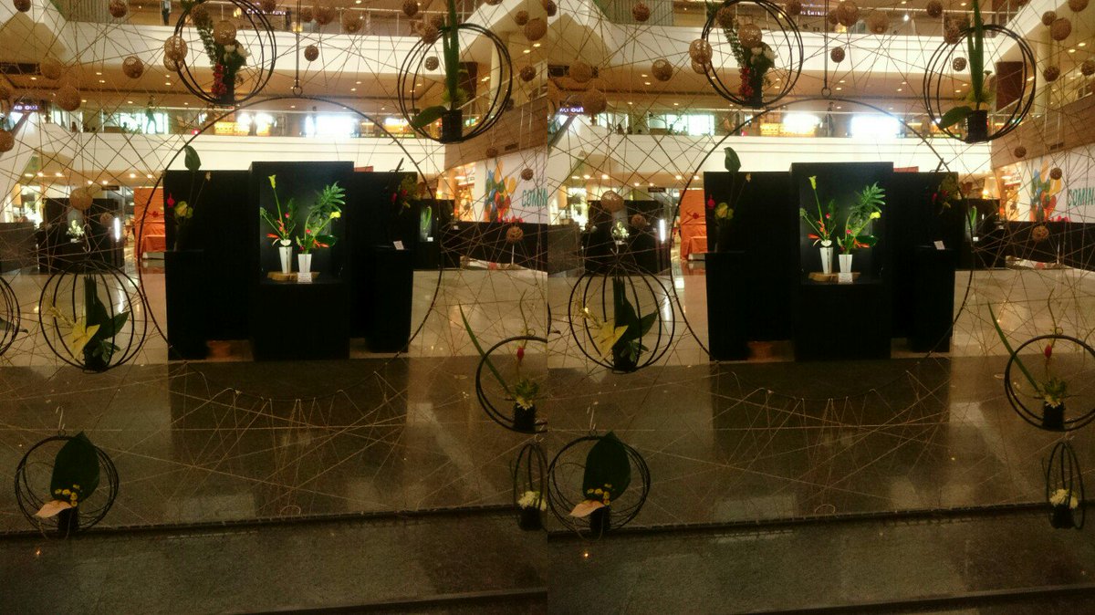 12_apol's tweet photo. Flower Exhibit
#stereoscopy #parallelstereo #crossedview https://t.co/M026XmacLu