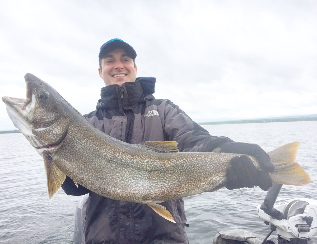 EVOOutdoors's tweet photo. Huge Trout caught on Lake Champlain--If only they bought into Rotary Derby!! @MountainLakePBS @Lake_Champlain @lcweekly @OutdoorNews https://t.co/beuTpLLgXF
