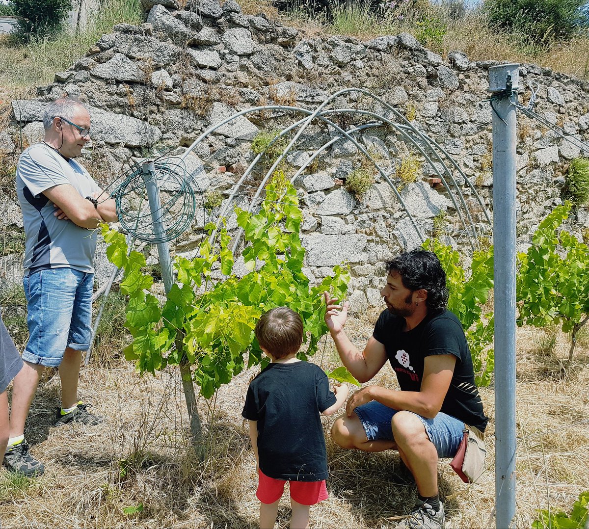 martarubru's tweet photo. Hem après un munt a #BenvingutsaPages17 amb la visita a #Canmarpons i a @Talcomraja #km0 #maduixes #microceller #vinatural #Maresme https://t.co/If8Uuvi2aV