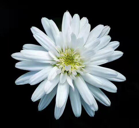 Tanzhen8's tweet photo. 012357 https://t.co/4pkKonL0WD