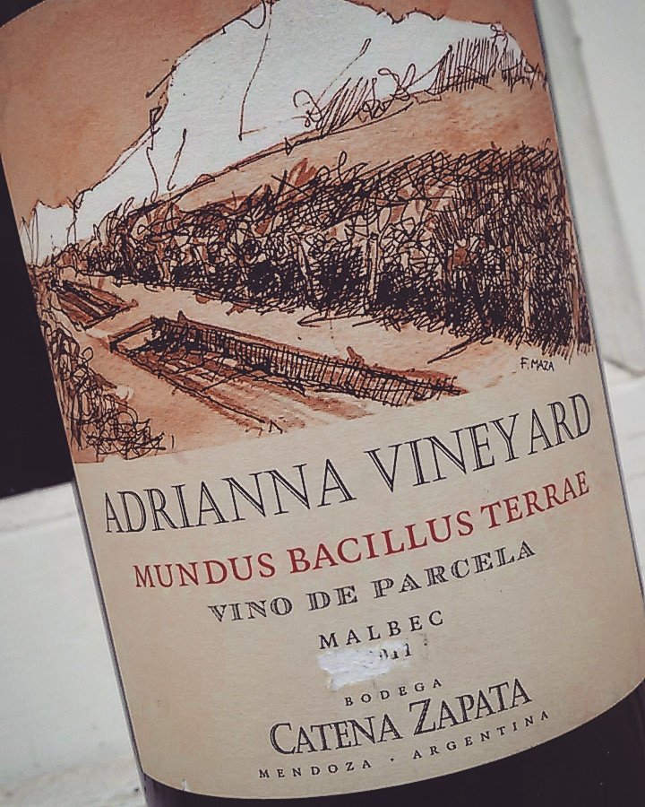 El vino que reune el concepto del Grand Cru. Este <a href="/CatenaMalbec/">Catena</a> explosivamente expresivo, augura muchos años de vida para ser monumental
