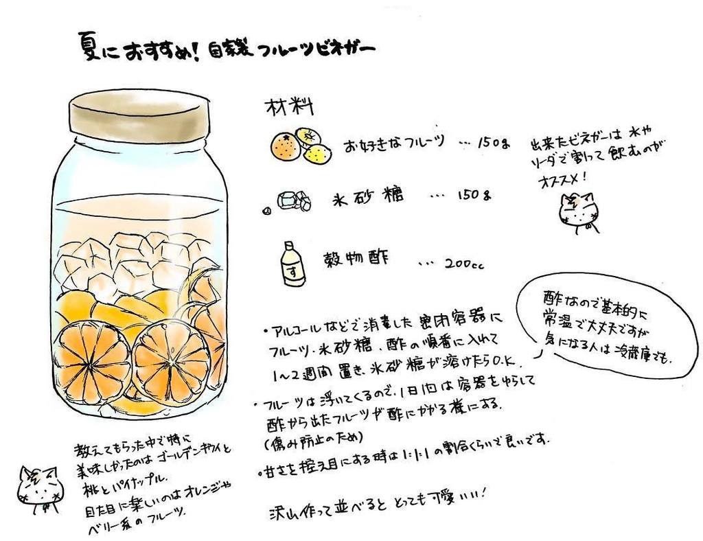 恵乙 على تويتر 友達に教えてもらった自家製フルーツビネガー けとご飯 けとにゃん イラスト イラストレーション Illustration 絵日記 手描きレシピ T Co Ctb6slxt