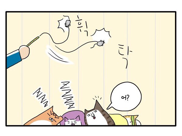 냐옹컴퍼니의 새로운 운동법을 소개합니다 #냐옹컴퍼니 https://t.co/YJwRHyxnEP 