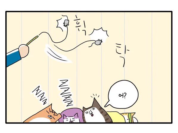냐옹컴퍼니의 새로운 운동법을 소개합니다 #냐옹컴퍼니 https://t.co/YJwRHyxnEP 