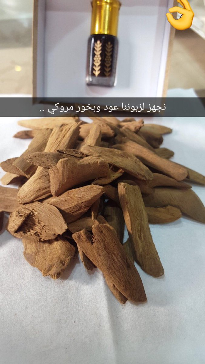 عالم_العود hashtag on Twitter