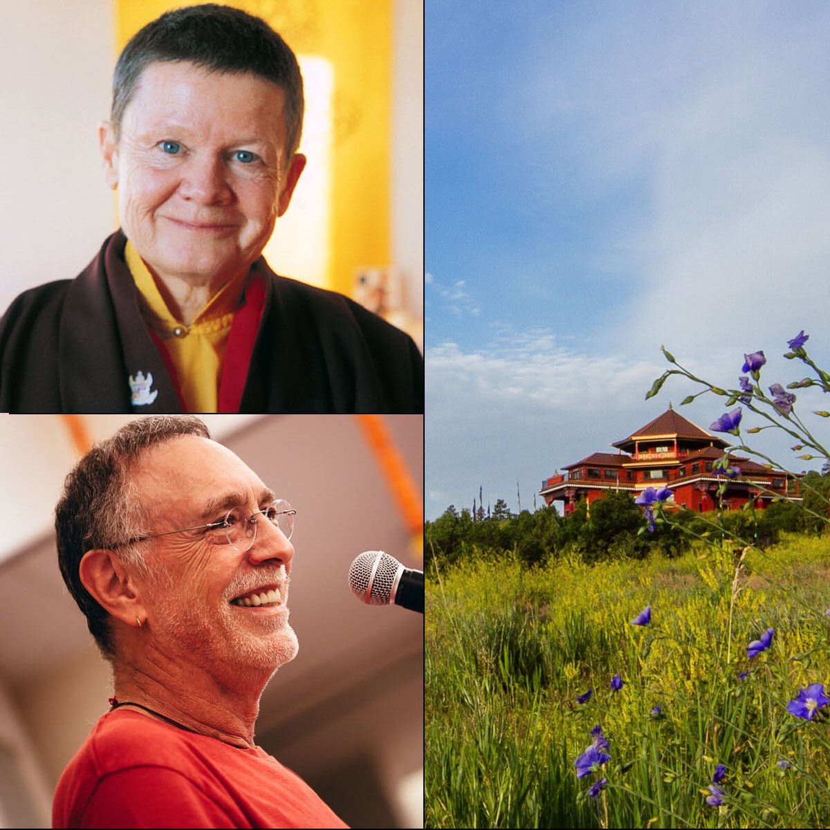 ArjunBruggeman's tweet photo. Excited to play this special benefit for @TaraMandalaOrg! An intimate dialogue with #PemaChödrön &amp; evening concert with #KrishnaDas July 29. https://t.co/BAI4DD1ues