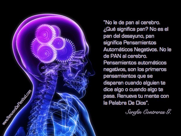 Panloco1's tweet photo. 😊😊 hola chicos #pancoe10 #pancoe https://t.co/68Y2dQr6y7