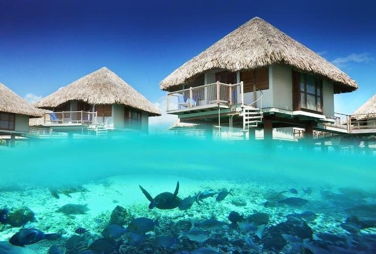ButDansLaVie's tweet photo. Partir en vacances à Bora Bora 🌊🔥😎 https://t.co/Fd7NNbvQEW