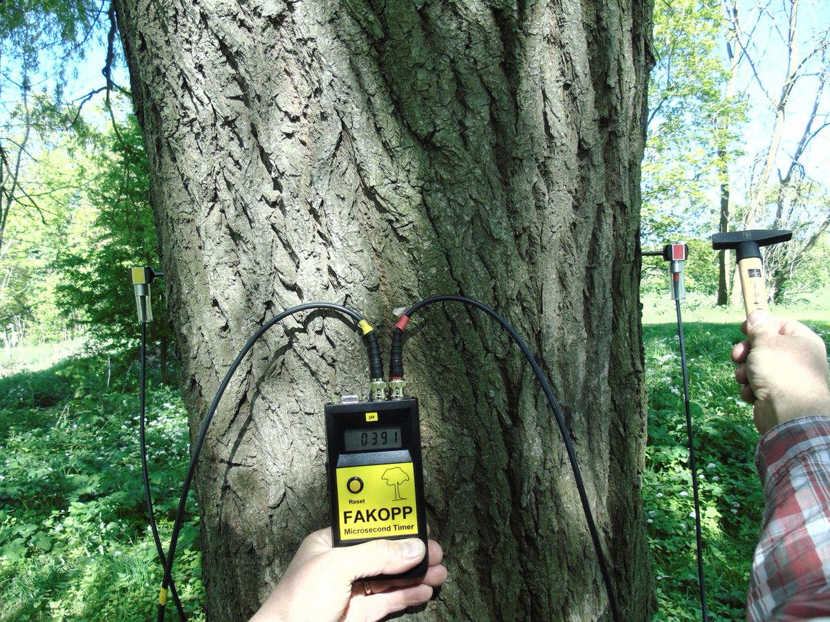 BarnesAssocLtd's tweet image. Using the  Fakopp  #Microsecond timer easy to use on tree surveys, sold in the UK by treediagnostics.co.uk.