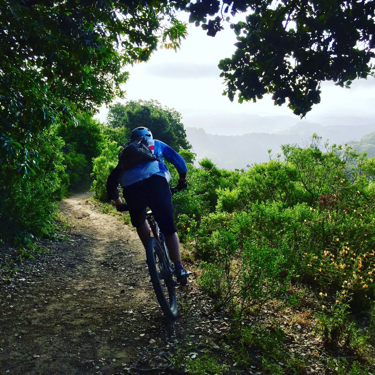 Crocker510's tweet photo. Great #mtb #dawnpatrol this am! #crocker510 https://t.co/KWog8PXoho