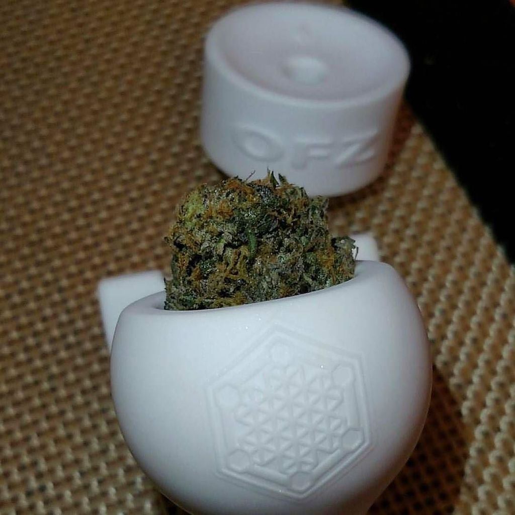 HiveCeramics tweet media
