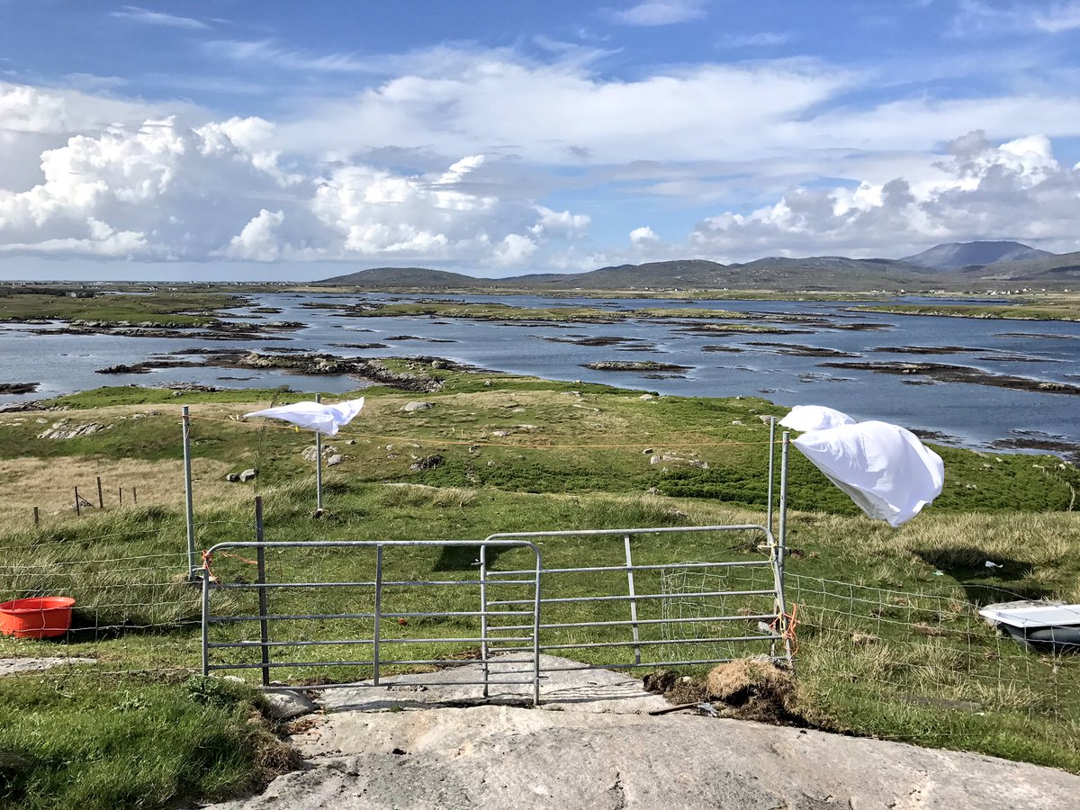 maria_claire_md's tweet photo. Crisp white sheets and bright blue skies #hebrideanwashing #southuist https://t.co/jVG4qRCpmZ