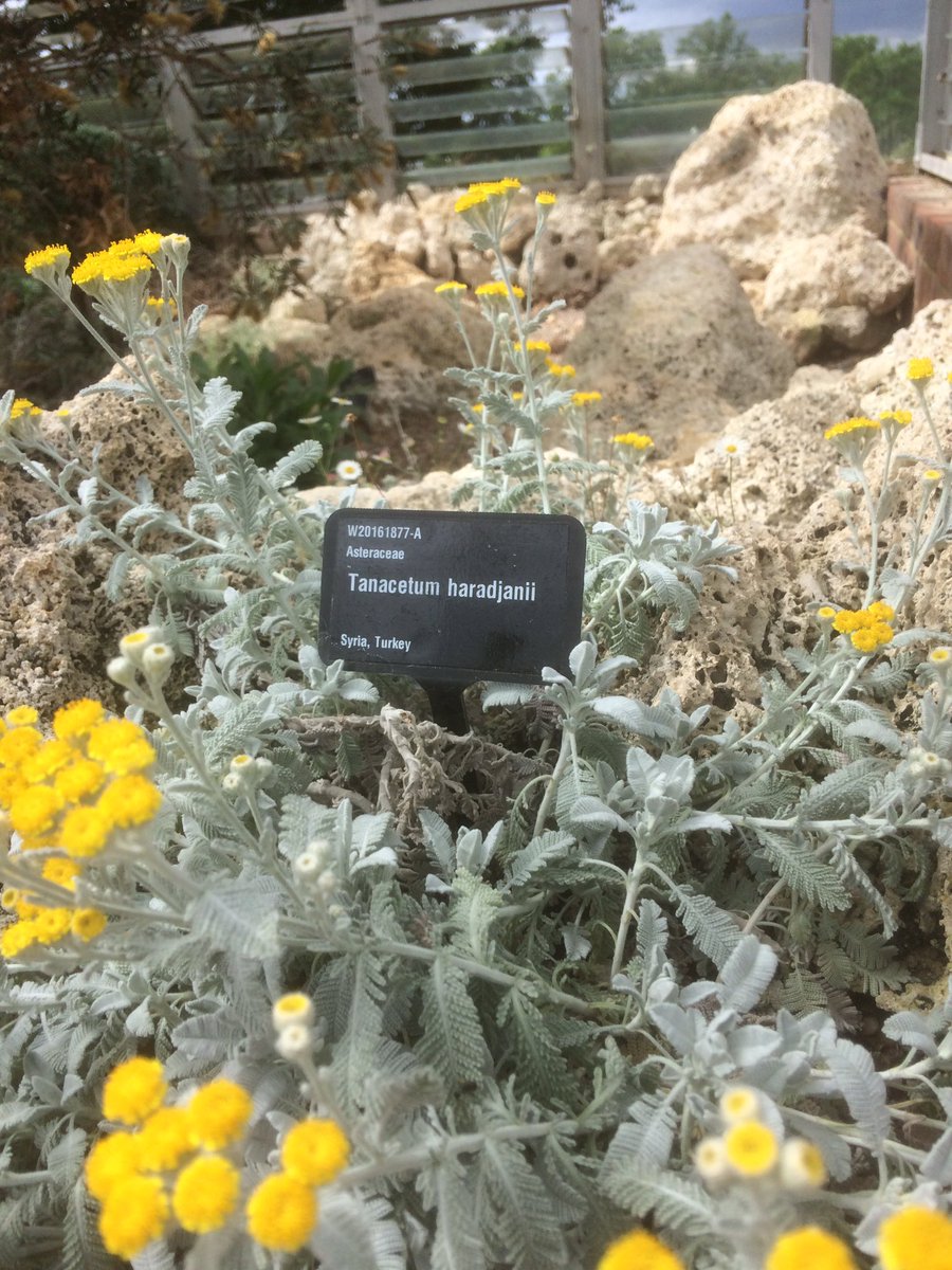 Our labels in use a RHS Garden Wisley #GardenersWorld #gardening #RHS