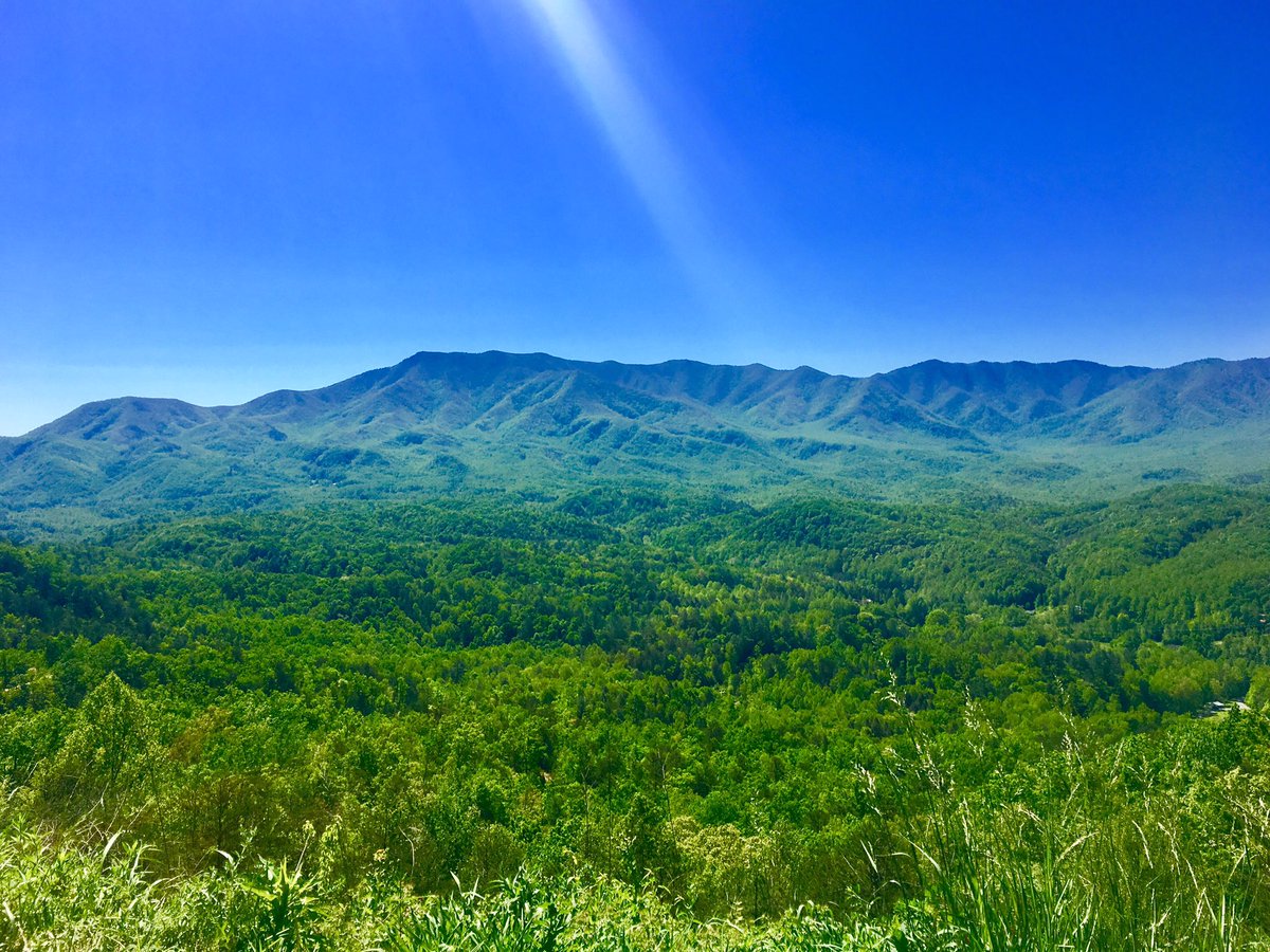 Simplifytiny's tweet image. Oh, the places you will go... #rving #tinyhome #tinyhouse #gotiny #tinyhousebuilder #mortgagefree #vanlife